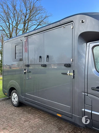 Stx 1,5-paards paardenwagen Foto 6