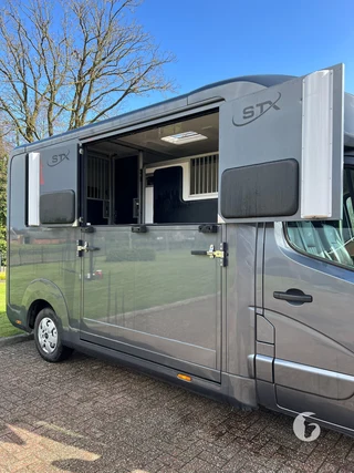 Stx 1,5-paards paardenwagen Foto 7