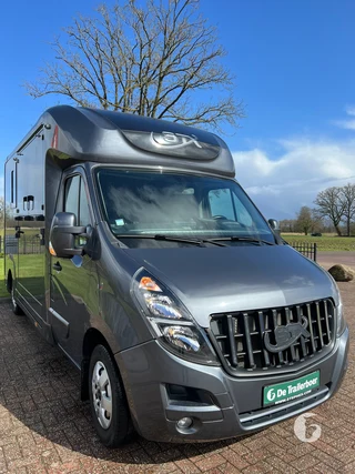 Stx 1,5-paards paardenwagen Foto 5