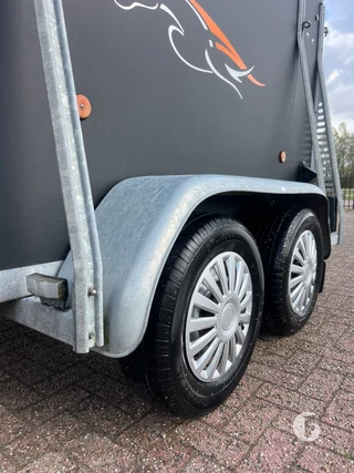 SARIS PTS 1,5-paards paardentrailer Photo 10