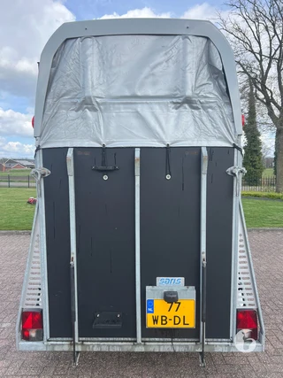 SARIS PTS 1,5-paards paardentrailer Photo 5