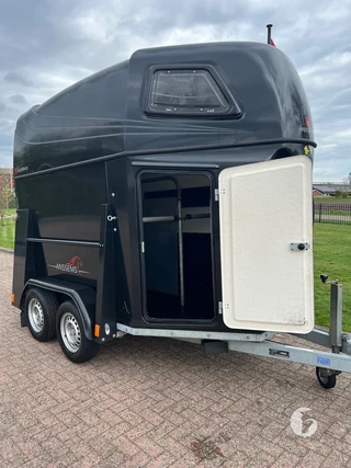 ANSSEMS PTH 2000-EXCELENTE 2-paards paardentrailer Foto 5