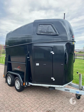 ANSSEMS PTH 2000-EXCELENTE 2-paards paardentrailer Foto 4