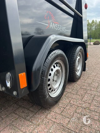 ANSSEMS PTH 2000-EXCELENTE 2-paards paardentrailer Foto 11