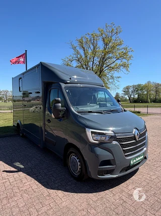 RENAULT MASTER 2-paards paardenwagen
