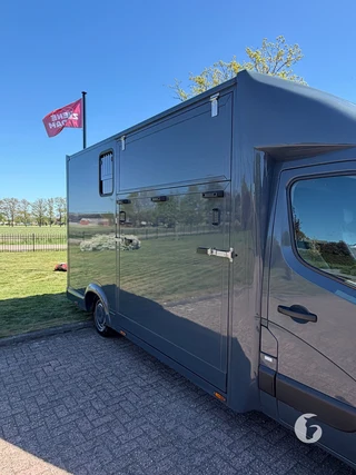 RENAULT MASTER 2-paards paardenwagen Photo 6