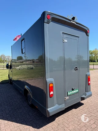 RENAULT MASTER 2-paards paardenwagen Photo 5