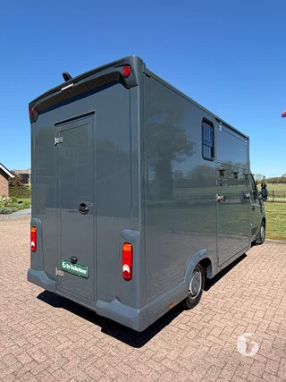 RENAULT MASTER 2-paards paardenwagen Photo 7