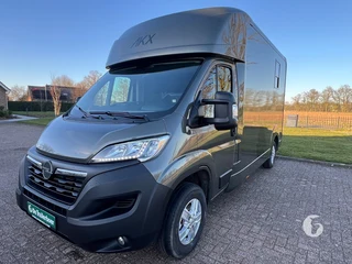 AKX Stephex 2-paards paardenwagen Foto 3
