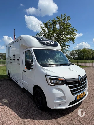 STX MASTER HORSEBOX 2-paards paardenwagen Photo 4
