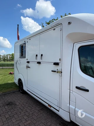 STX MASTER HORSEBOX 2-paards paardenwagen Photo 5