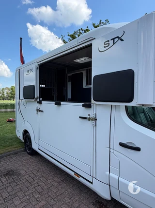 STX MASTER HORSEBOX 2-paards paardenwagen Photo 6