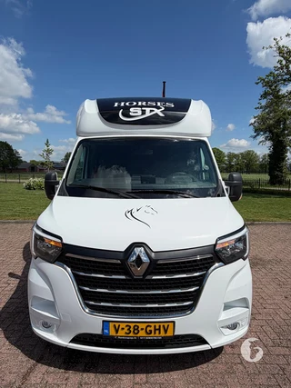 STX MASTER HORSEBOX 2-paards paardenwagen Photo 3