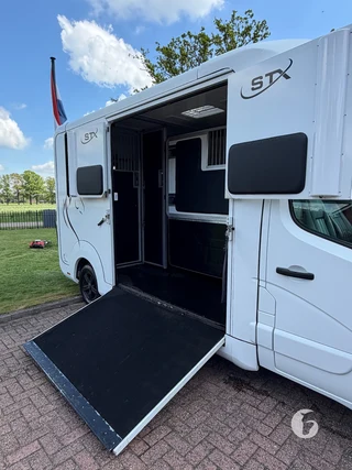 STX MASTER HORSEBOX 2-paards paardenwagen Photo 7