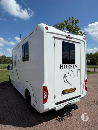 STX MASTER HORSEBOX 2-paards paardenwagen Photo 12