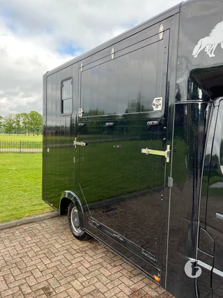 RENAULT MASTER 2-paards paardenwagen Photo 8