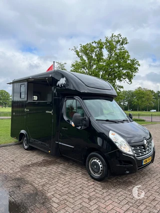 RENAULT MASTER 2-paards paardenwagen Photo 5