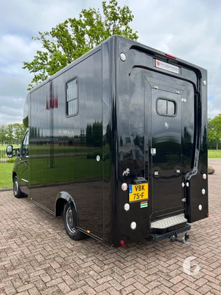 RENAULT MASTER 2-paards paardenwagen Photo 10