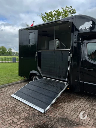 RENAULT MASTER 2-paards paardenwagen Photo 11