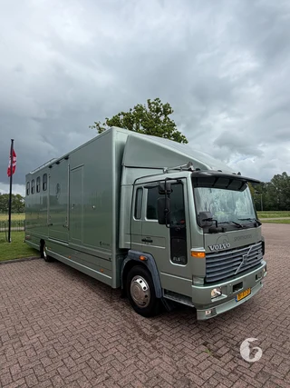 VOLVO FL612-42R-11T 2-paards paardenvrachtwagen Photo 3
