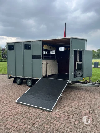 SARIS P30B 2-paards paardentrailer Foto 4