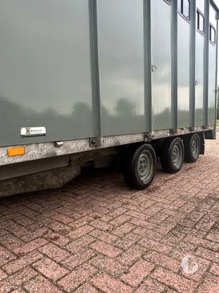 SARIS P30B 2-paards paardentrailer Foto 11