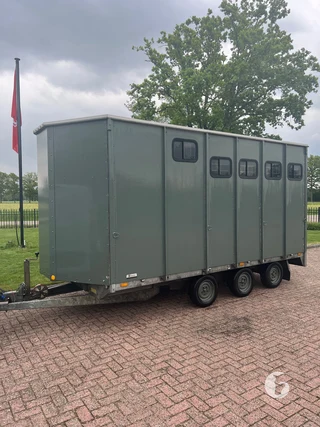 SARIS P30B 2-paards paardentrailer Foto 5
