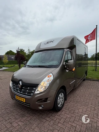 STX MASTER HORSEBOX 2-paards paardenwagen