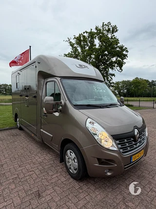 STX MASTER HORSEBOX 2-paards paardenwagen Photo 4