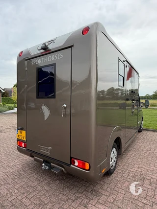 STX MASTER HORSEBOX 2-paards paardenwagen Photo 10