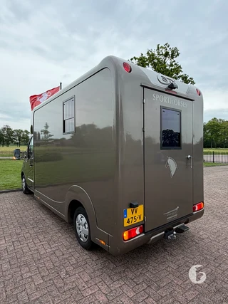 STX MASTER HORSEBOX 2-paards paardenwagen Photo 11