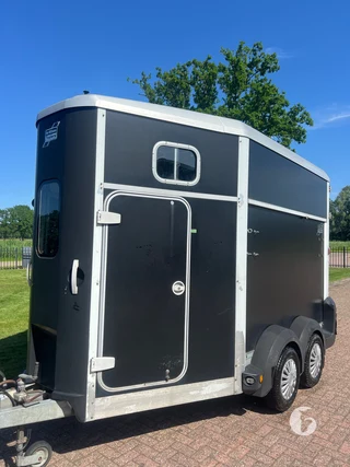 IFOR WILLIAMS TRAILERS 511 2-paards paardentrailer Photo 5