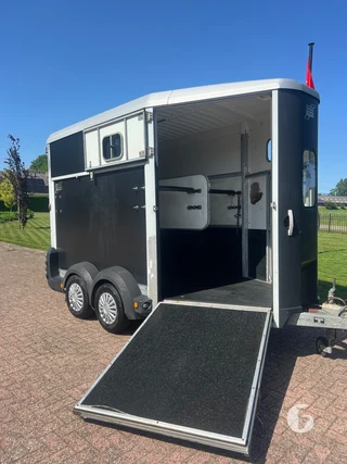 IFOR WILLIAMS TRAILERS 511 2-paards paardentrailer Photo 4