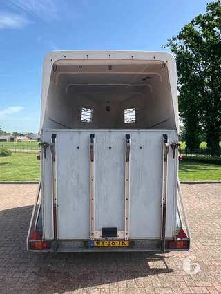 BLOMERT T2 2-paards paardentrailer Foto 6