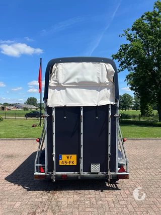 VIJF STERREN 2000 1,5-paards paardentrailer Photo 6