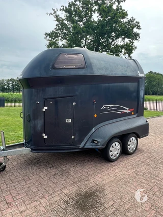 SLUIS PTO 2-paards paardentrailer Foto 3