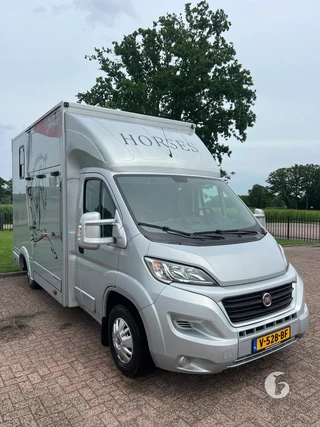 FIAT DUCATO 2-paards paardenwagen Photo 4