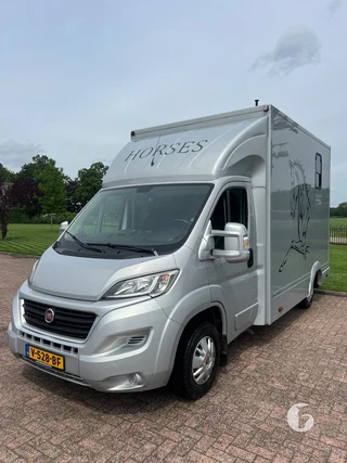 FIAT DUCATO 2-paards paardenwagen