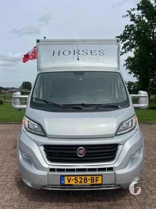 FIAT DUCATO 2-paards paardenwagen Photo 3