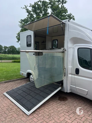 FIAT DUCATO 2-paards paardenwagen Photo 6