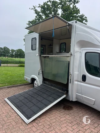 FIAT DUCATO 2-paards paardenwagen Photo 5