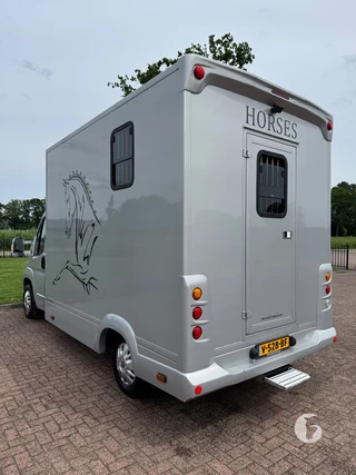 FIAT DUCATO 2-paards paardenwagen Photo 10