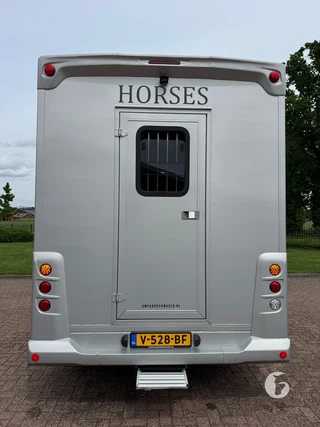 FIAT DUCATO 2-paards paardenwagen Photo 12