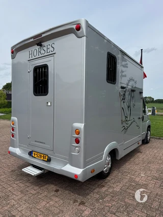 FIAT DUCATO 2-paards paardenwagen Photo 11