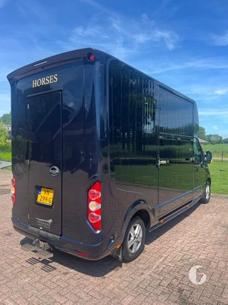 ROELOFSEN PARADOS SPORT 2-paards paardenwagen Foto 11