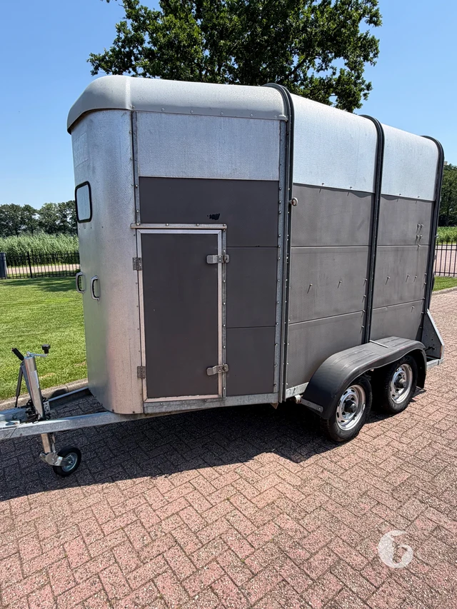 IFOR WILLIAMS TRAILERS HB-505 R 2-paards paardentrailer