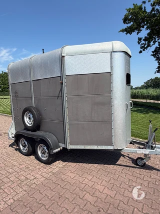 IFOR WILLIAMS TRAILERS HB-505 R 2-paards paardentrailer Photo 4