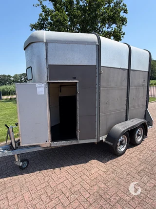 IFOR WILLIAMS TRAILERS HB-505 R 2-paards paardentrailer Photo 3