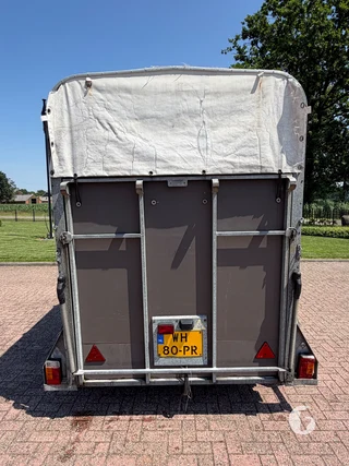 IFOR WILLIAMS TRAILERS HB-505 R 2-paards paardentrailer Photo 5