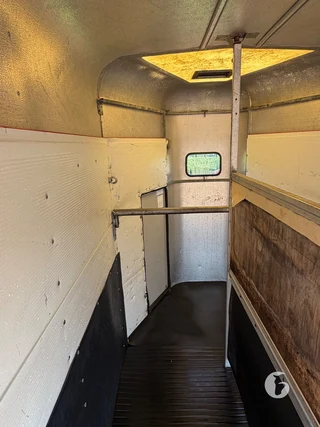 IFOR WILLIAMS TRAILERS HB-505 R 2-paards paardentrailer Photo 7